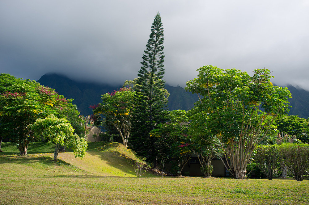 Beautiful Hawaii