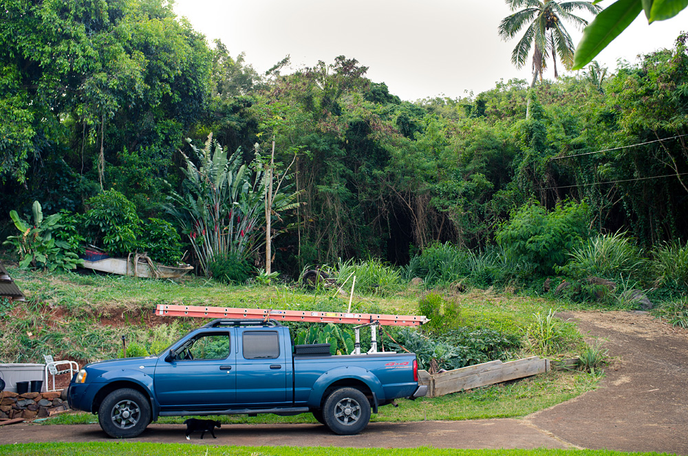 Beautiful Hawaii