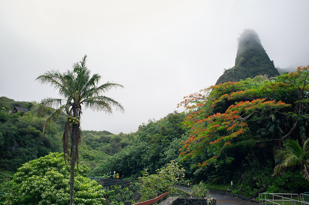 Beautiful Hawaii