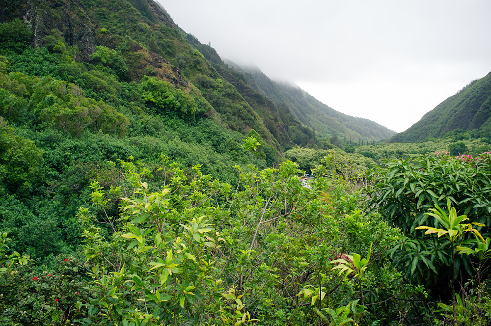 Beautiful Hawaii