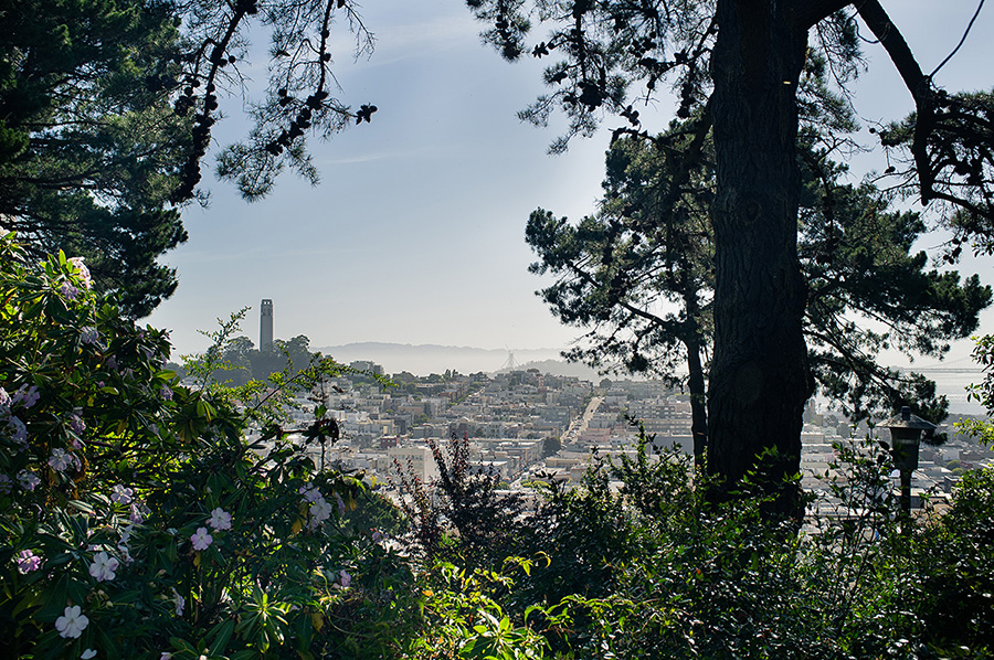 San Francisco . Fog City