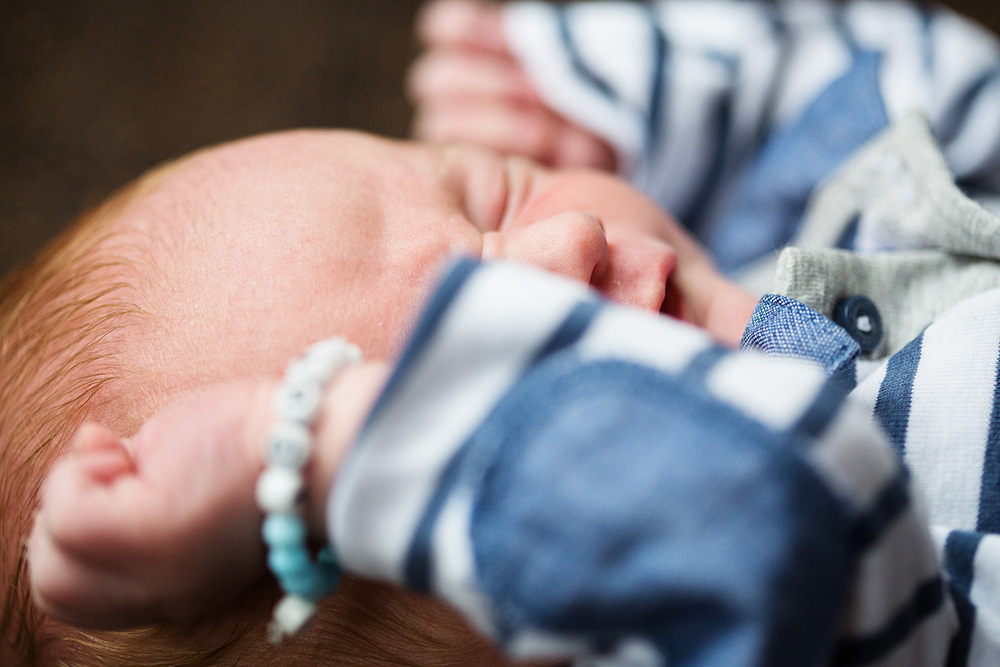 newborn portrait family photo session