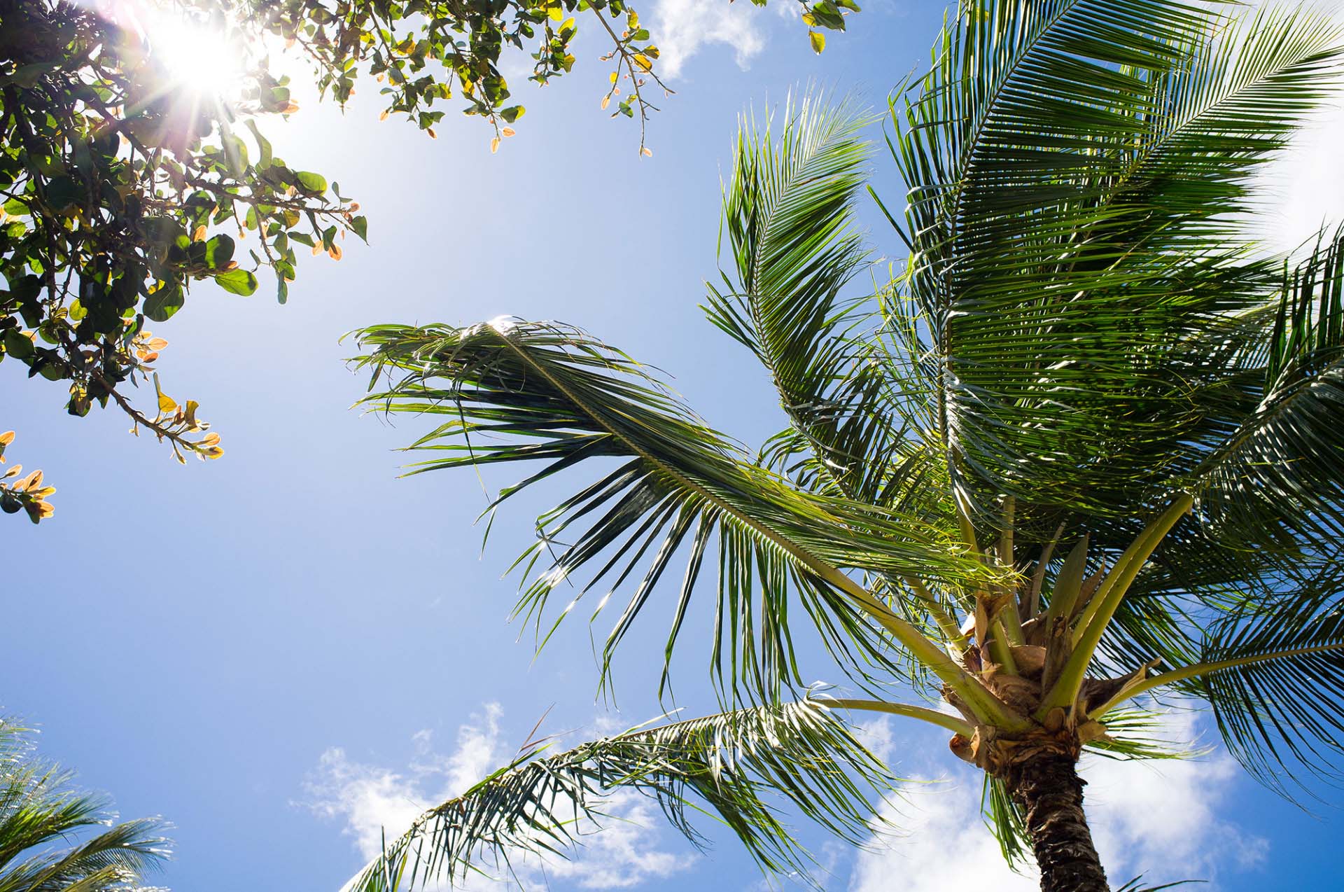Hawaii