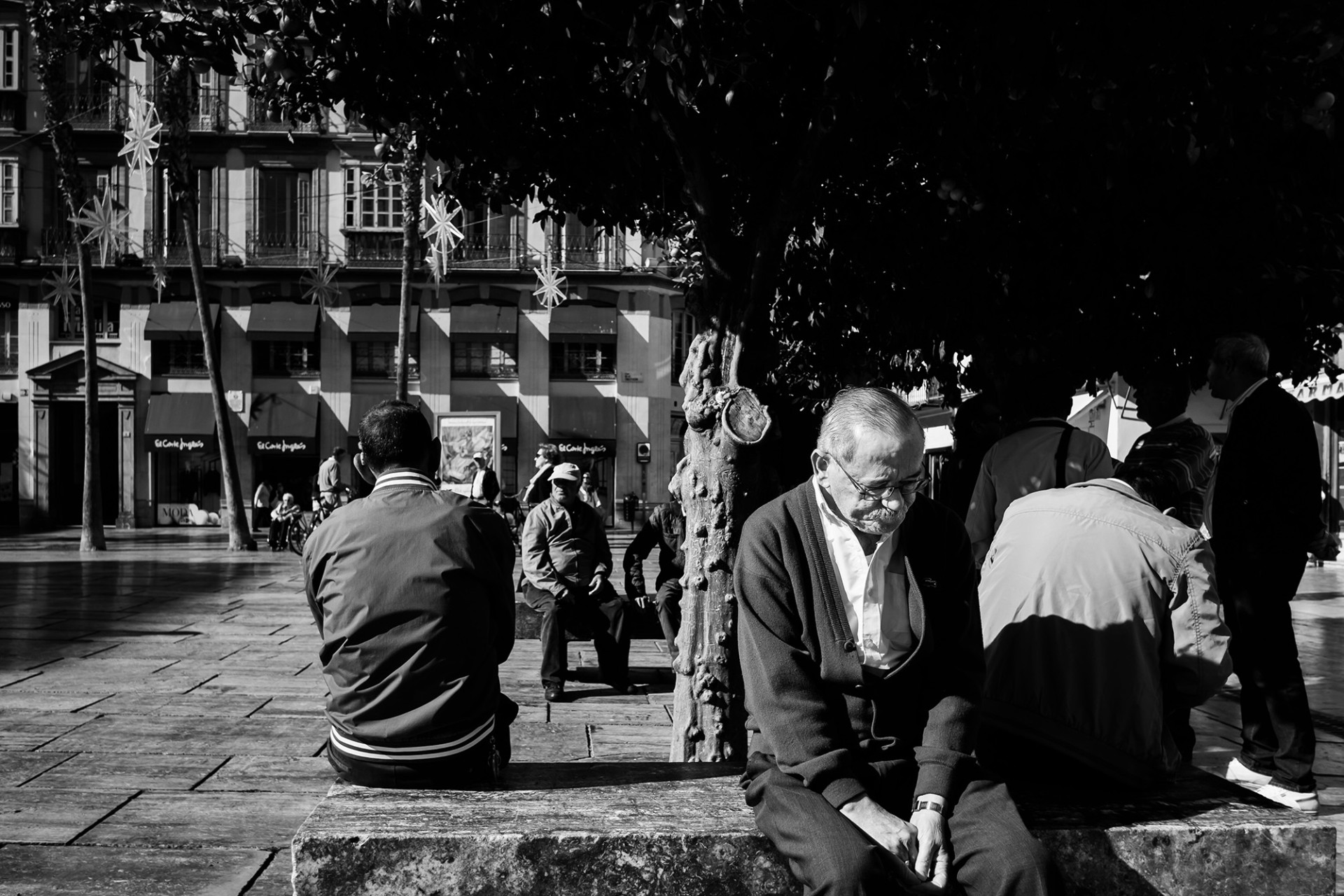 20161114_Malaga_120