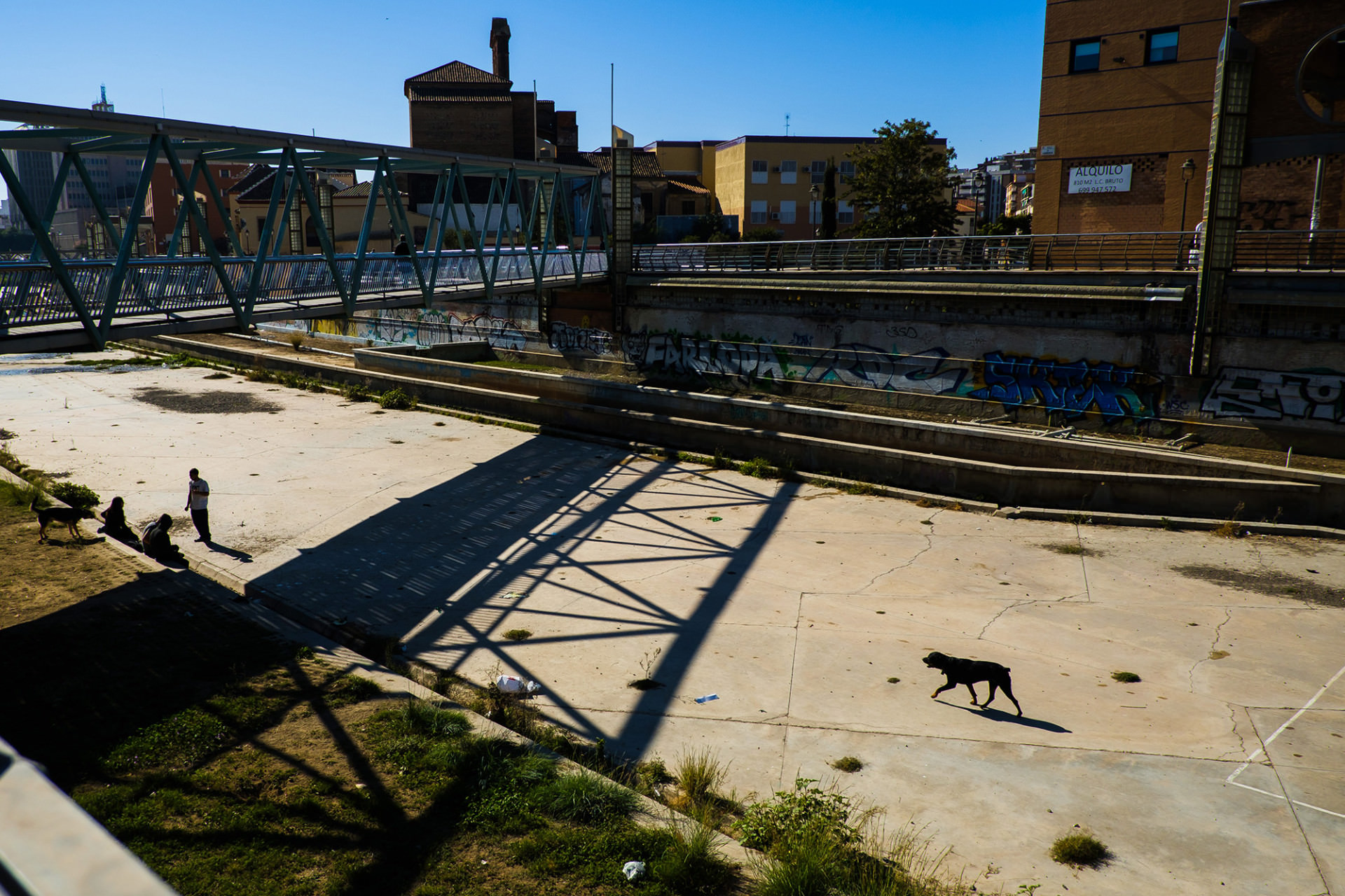 20161114_Malaga_123a