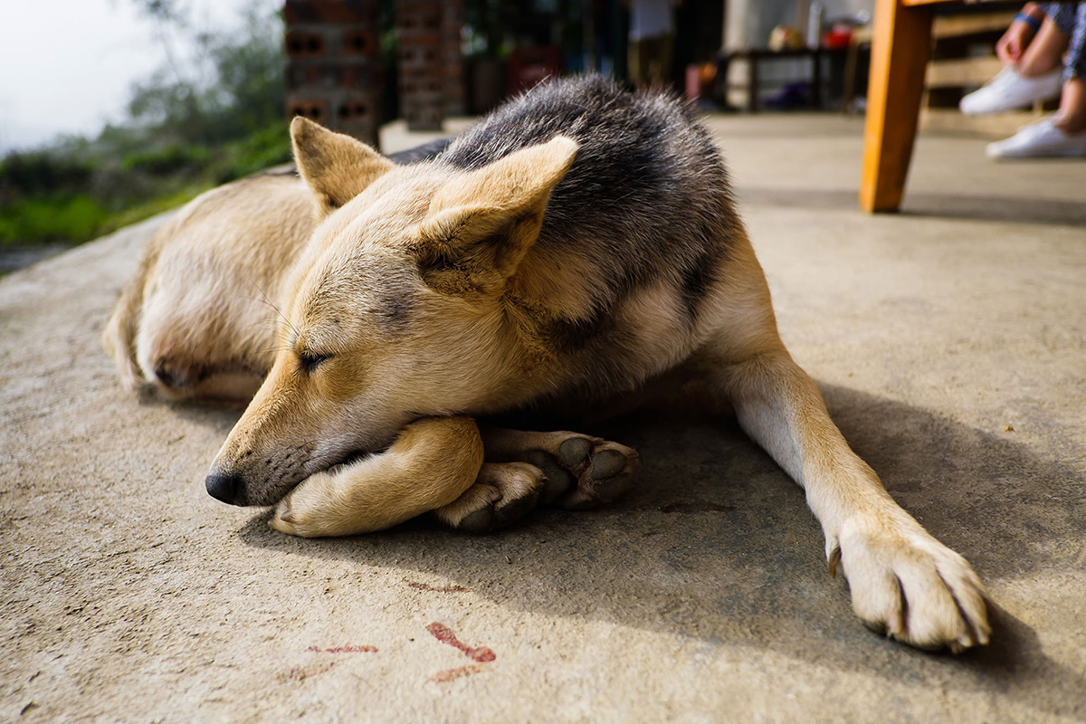 vietnam_travel_03_55