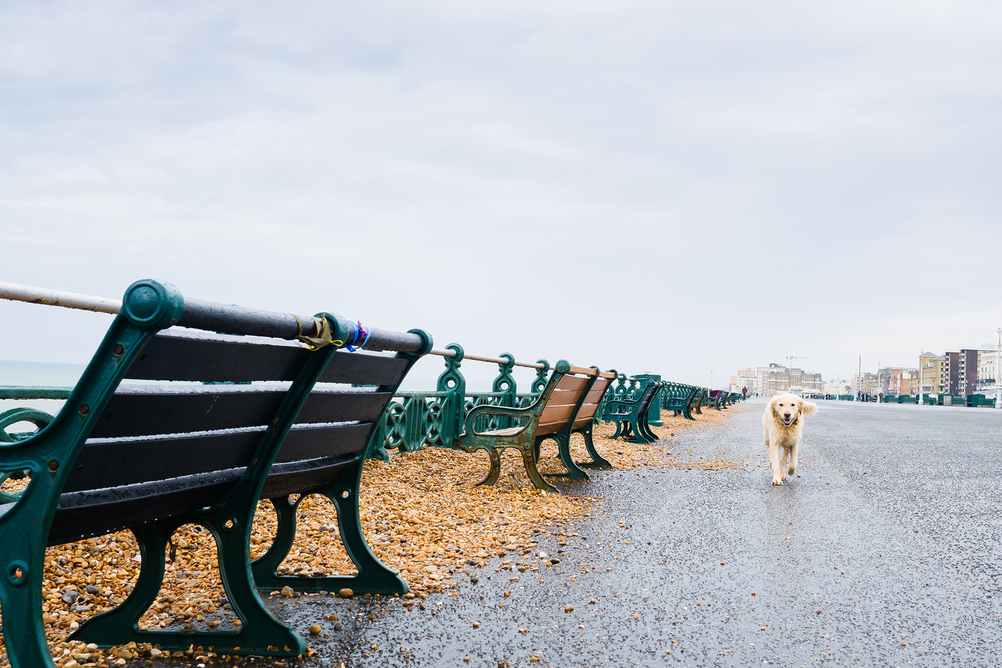 documenting Brighton 24hours 2018