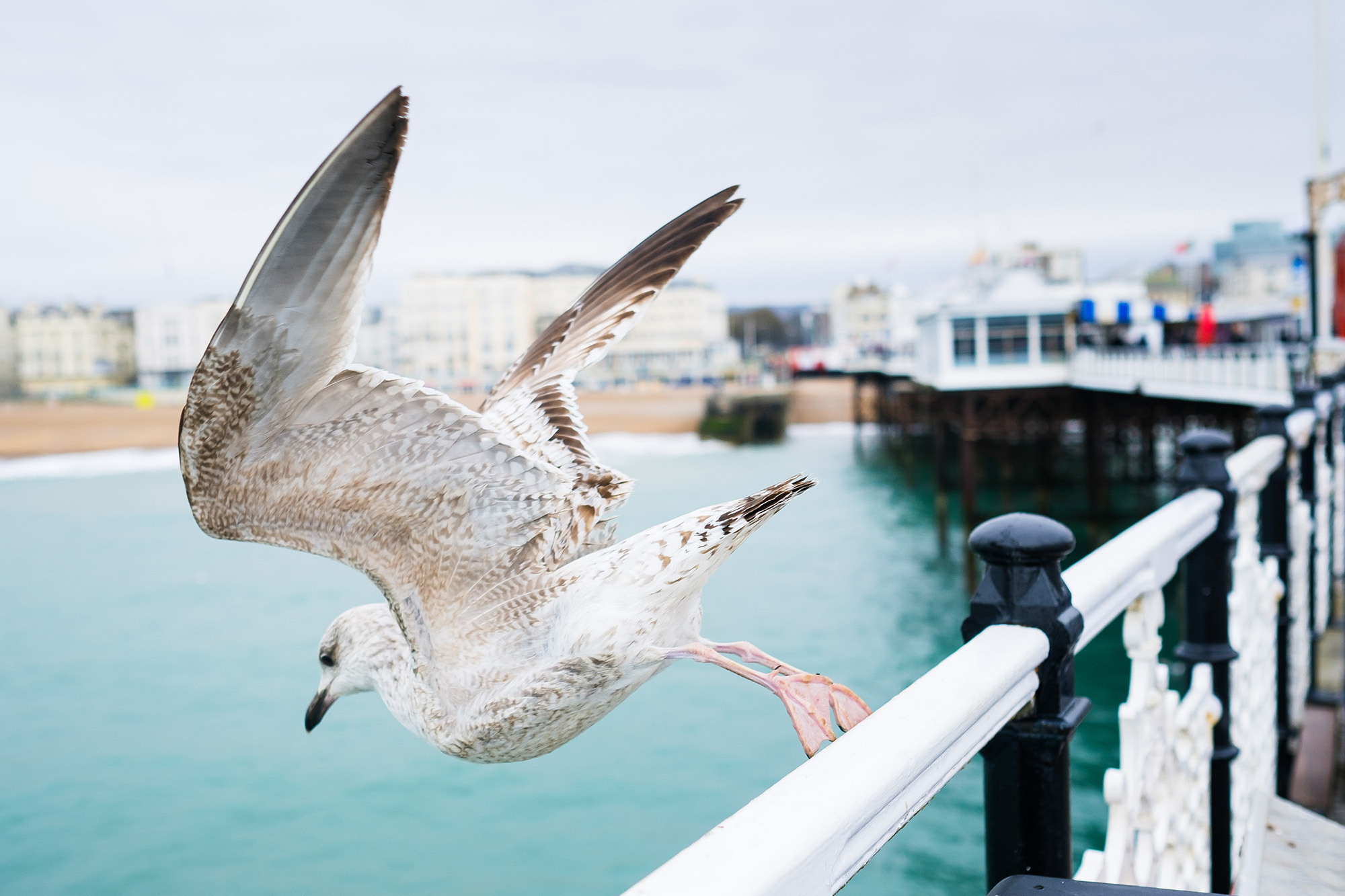 documenting Brighton 24hours 2018