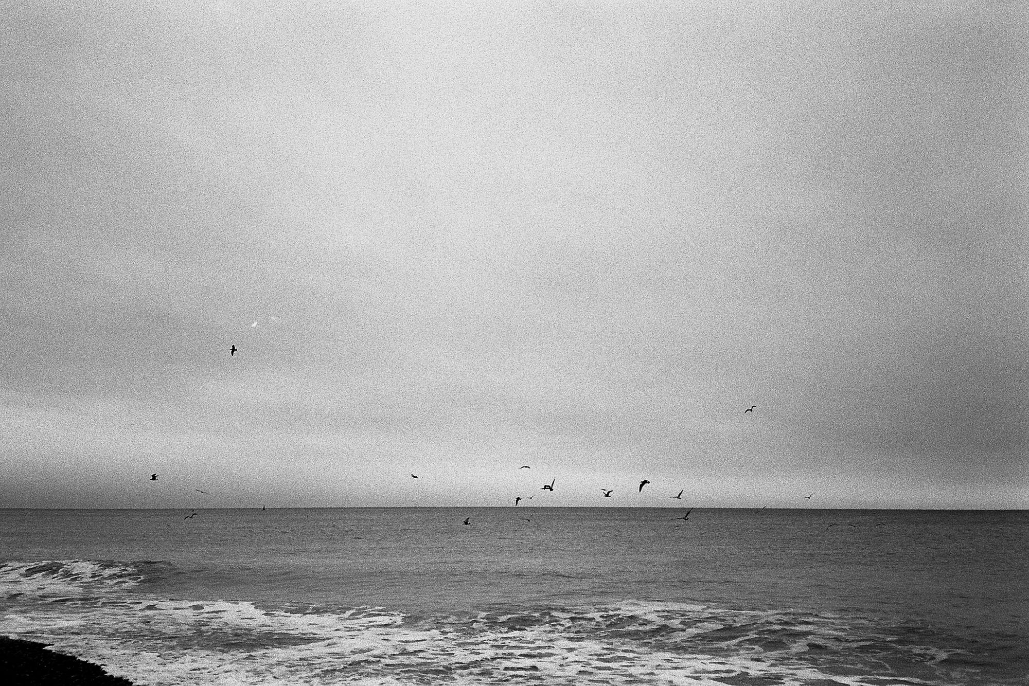 scenic-view-brighton-beach-birds-film-photography