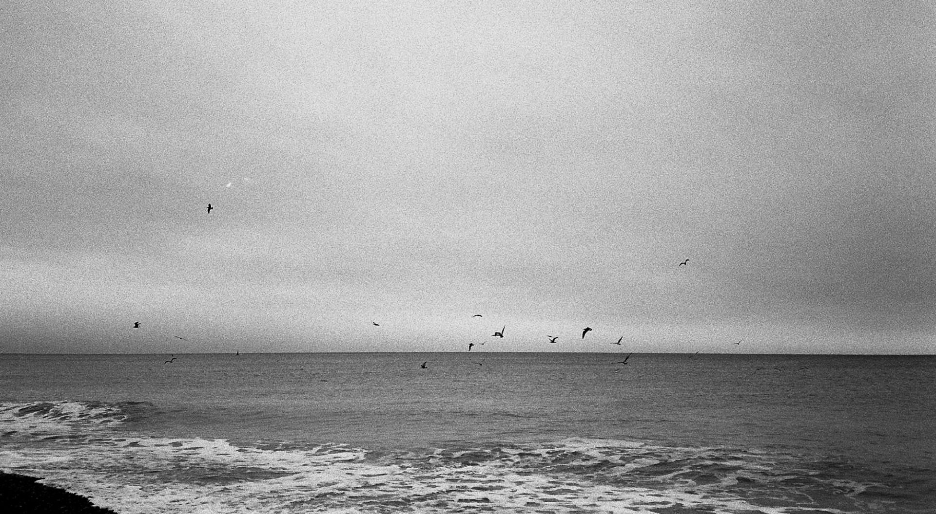 playing with film