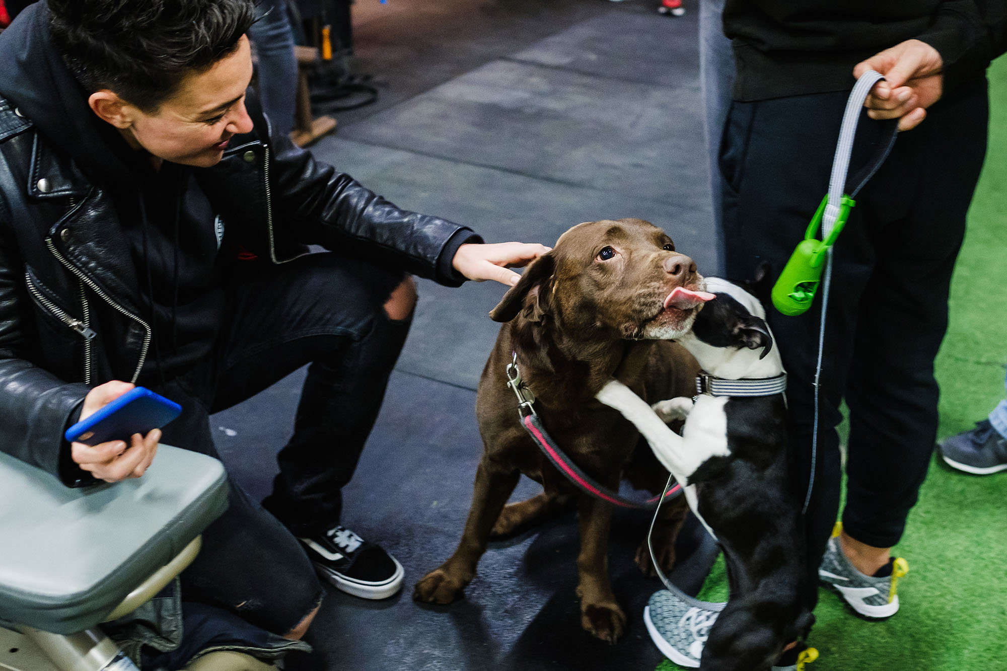 Crossfit reebok throwdown athlete 