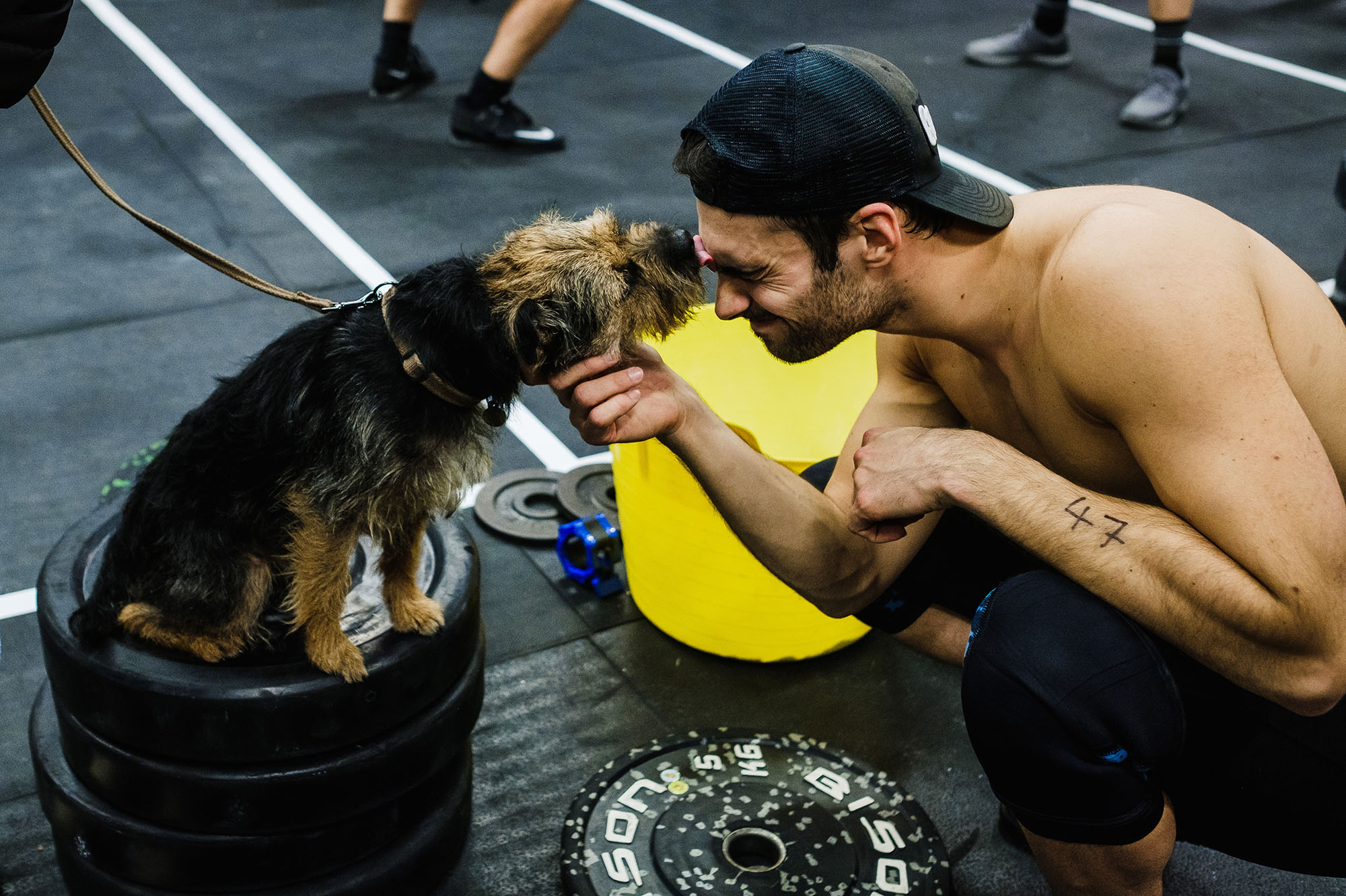 dog at crossfit