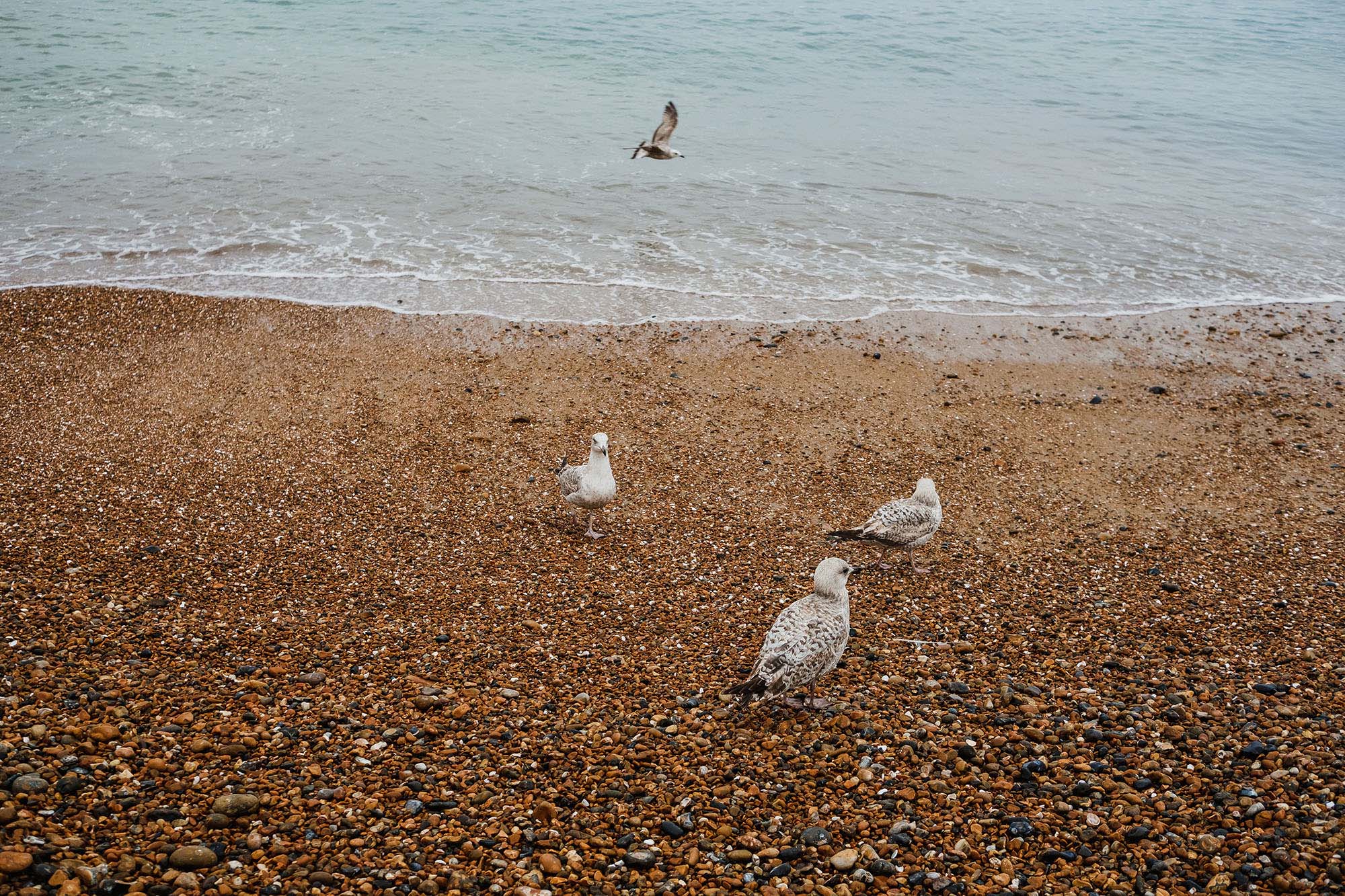 24 hours of photos in Brighton