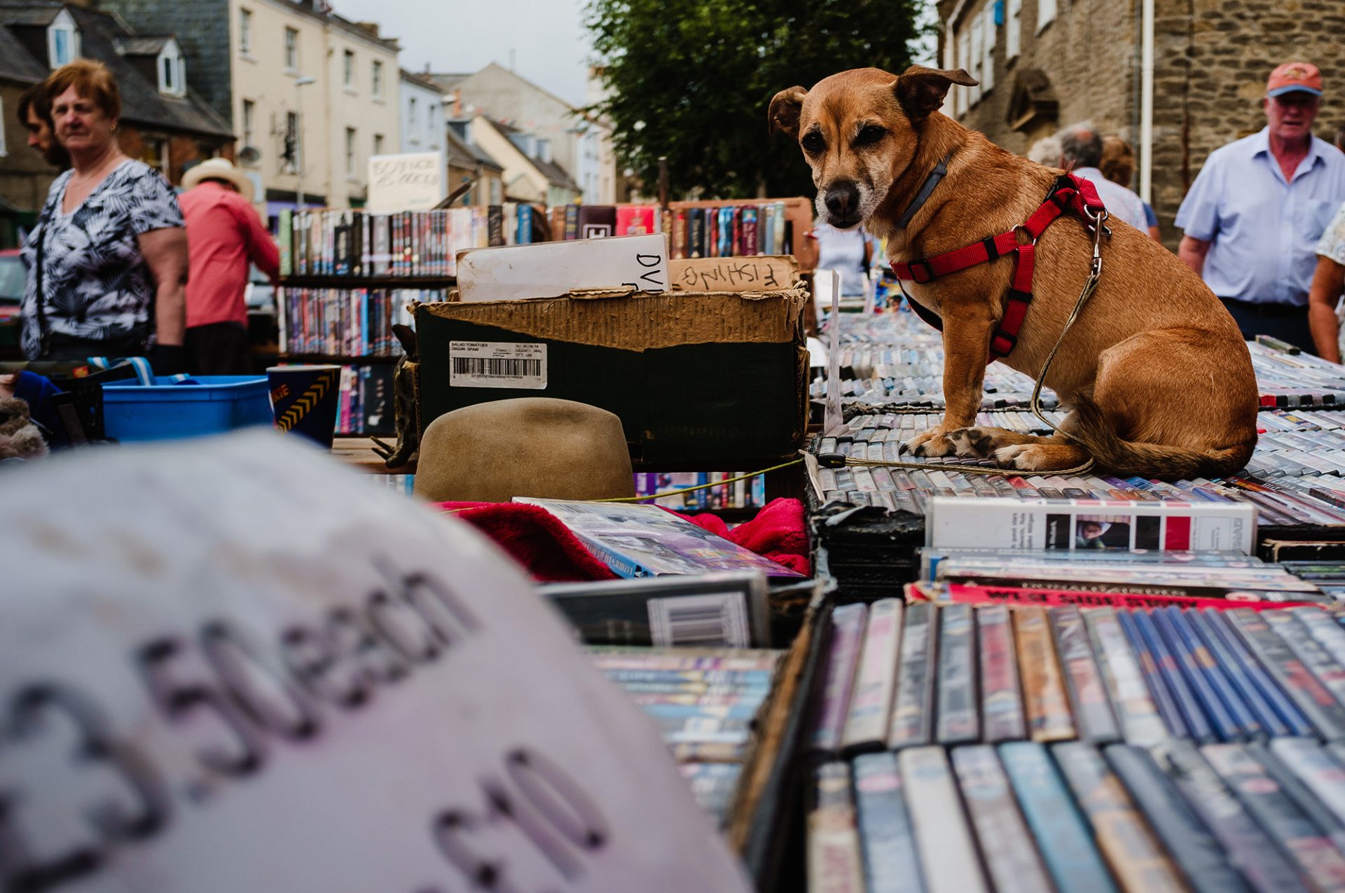20180728_Dorset_027