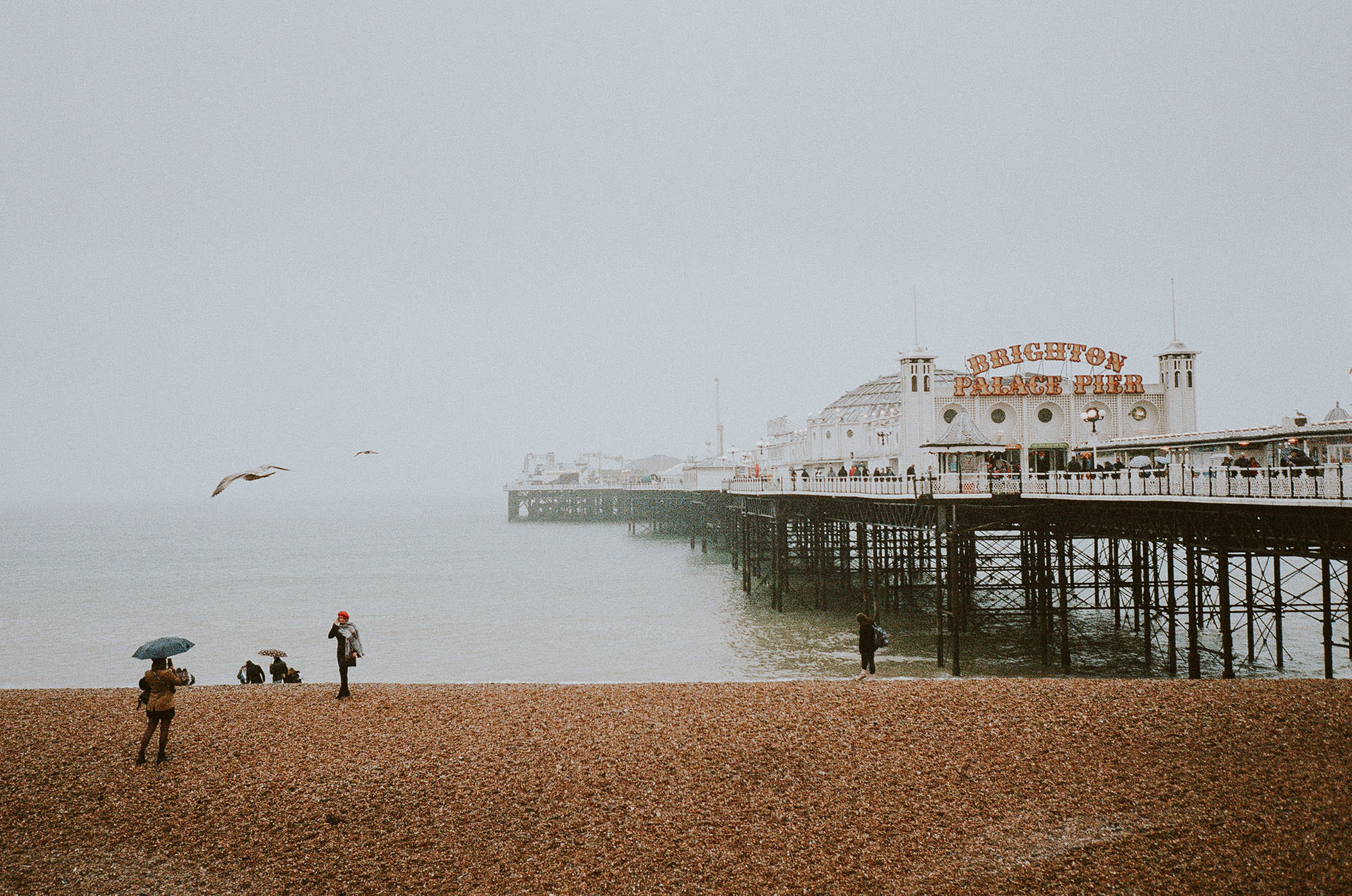 Film photography Brighton