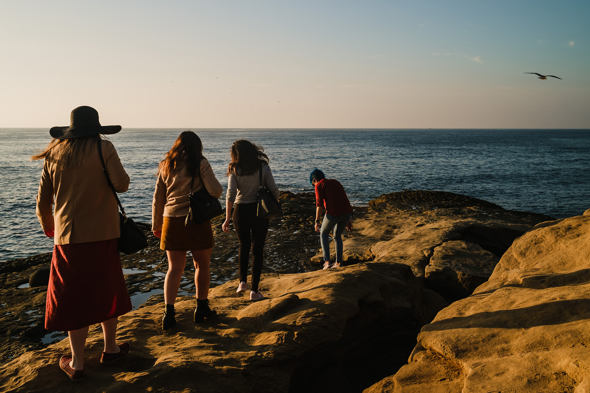 sunset cliffs san diego