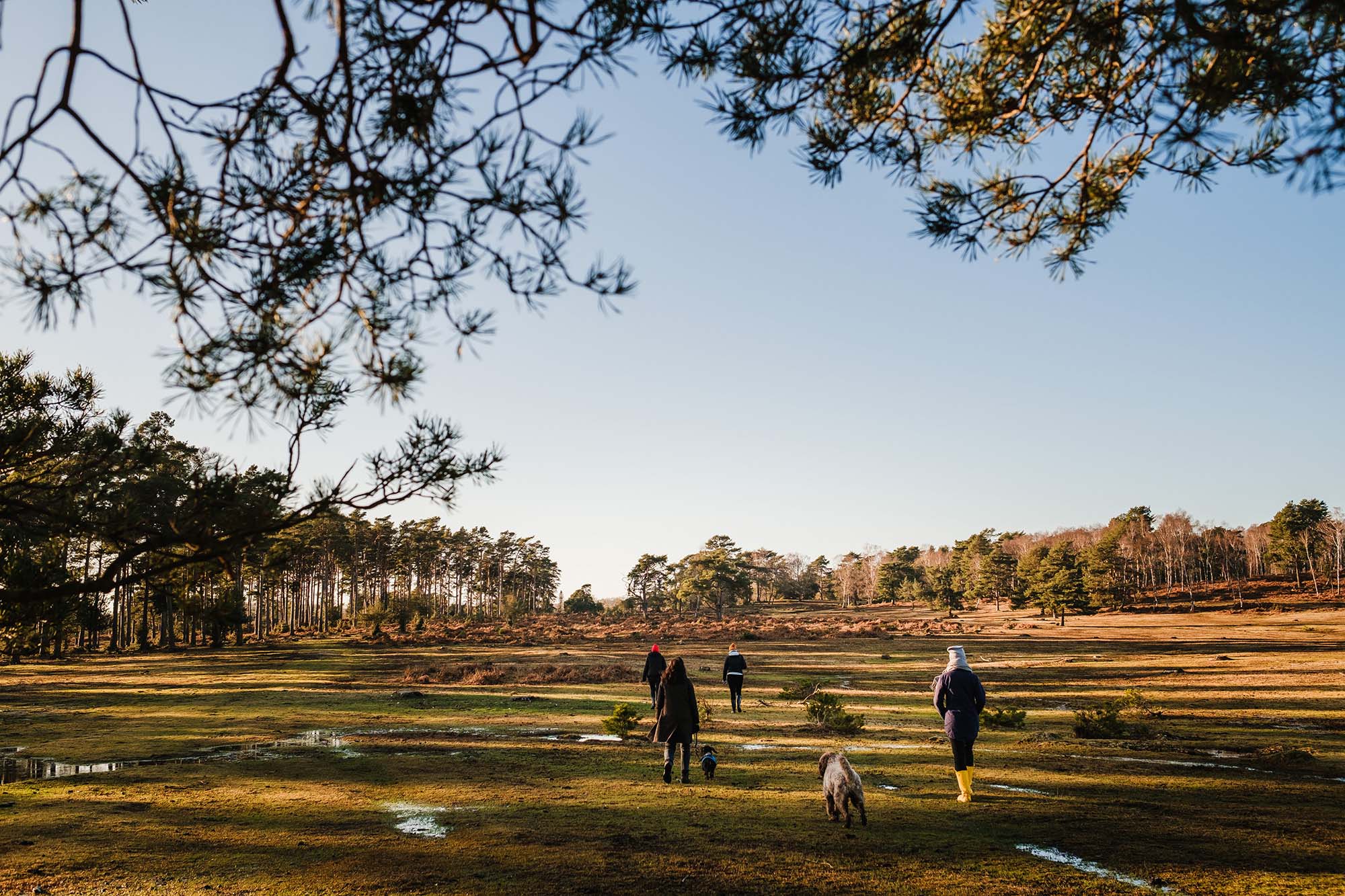 documenting life on vacation new forest