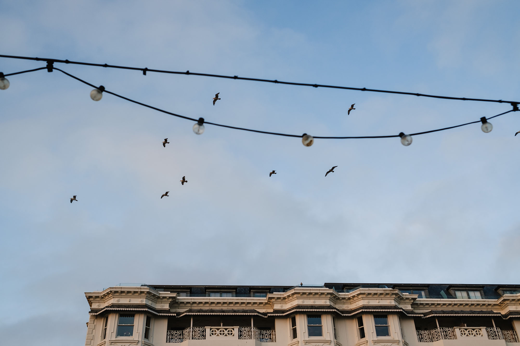 worthing sky with birds