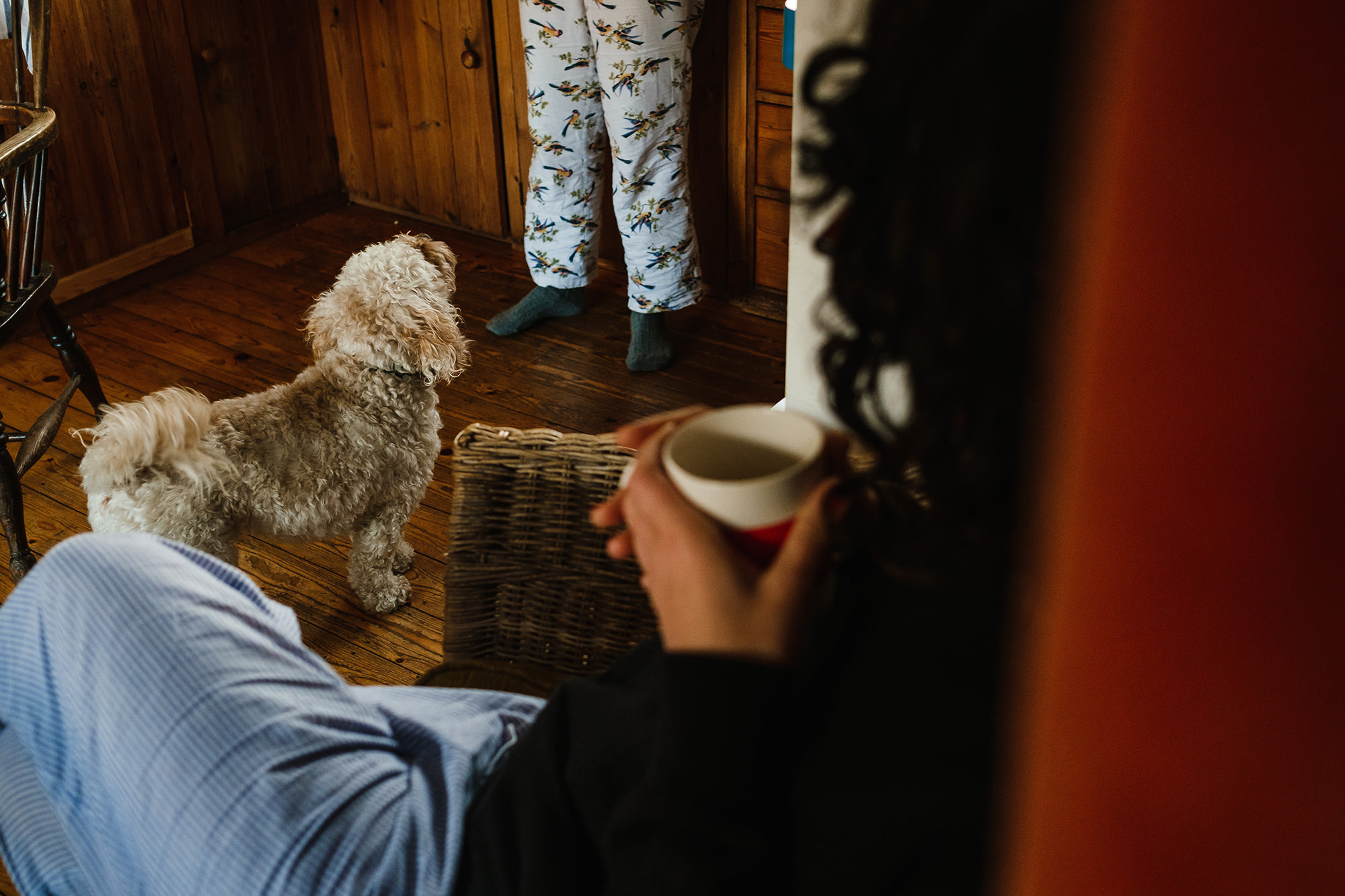 dogs and breakfast documentary vacation photography