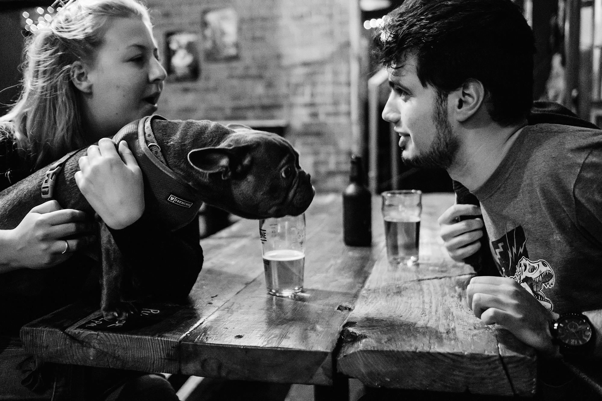 friends and dogs at pub