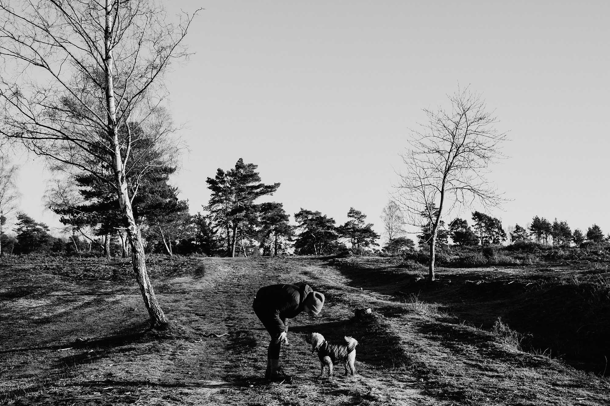 dog walking new forest docuementary photography