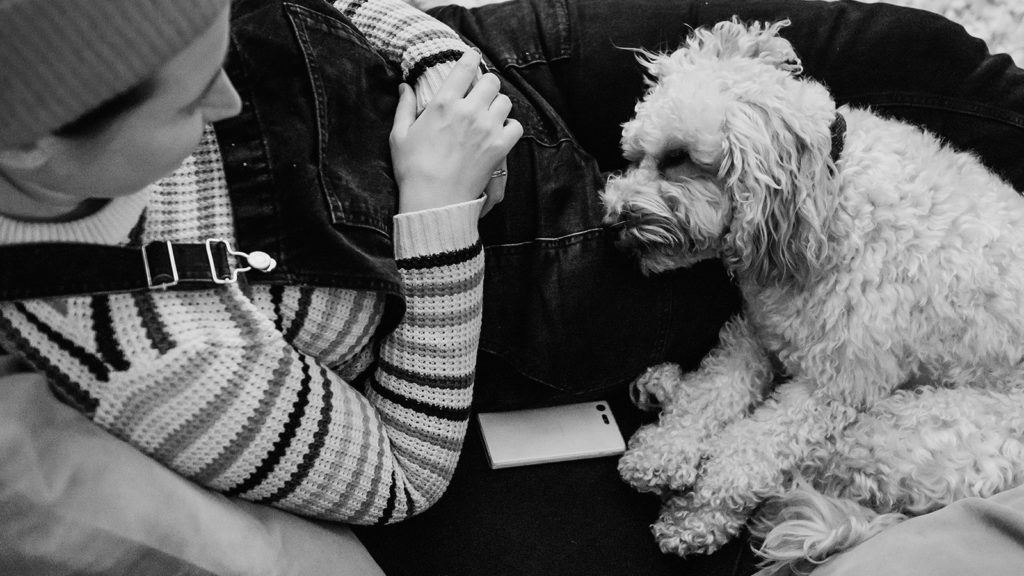 documenting life with dogs