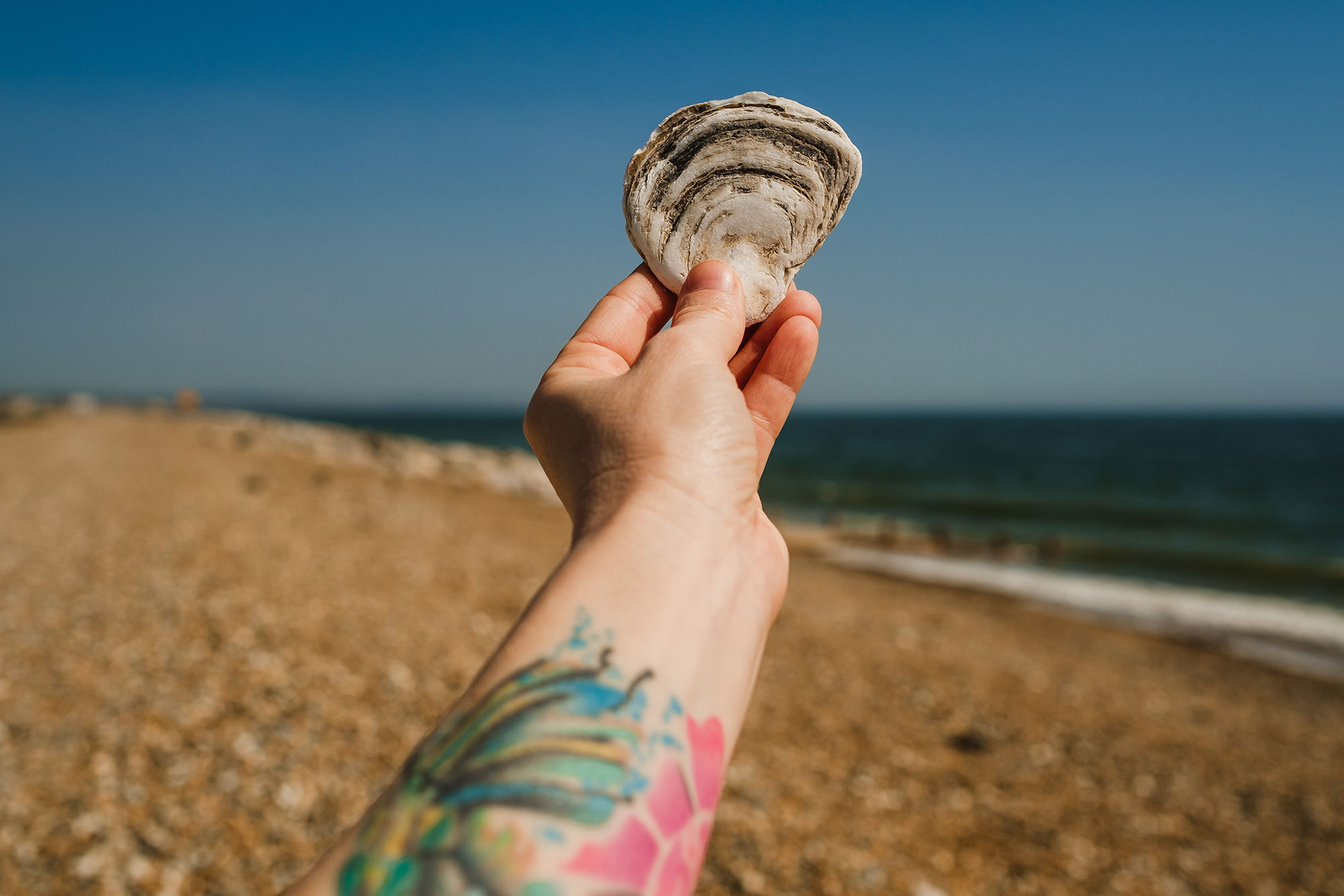 stone shaped shell