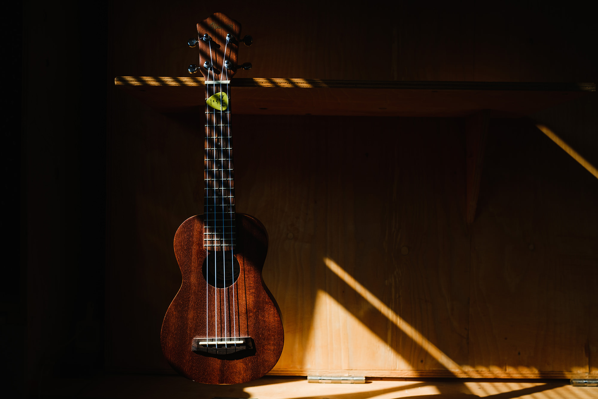 ukulele in the sunshine