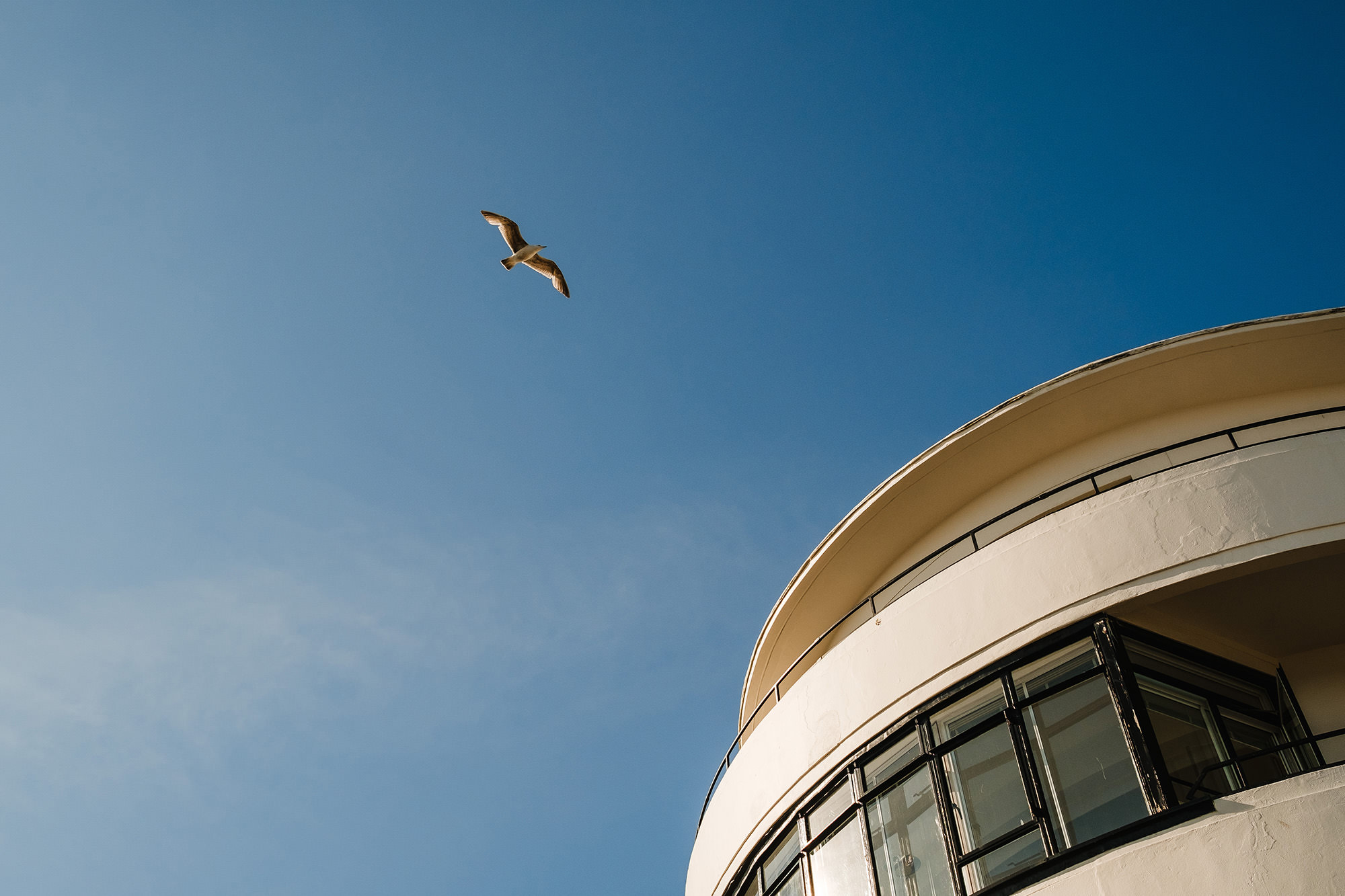  looking up in the sky