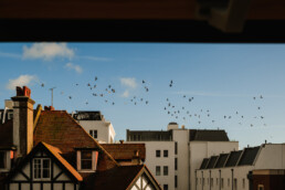 view form my kitchen, hove brighton