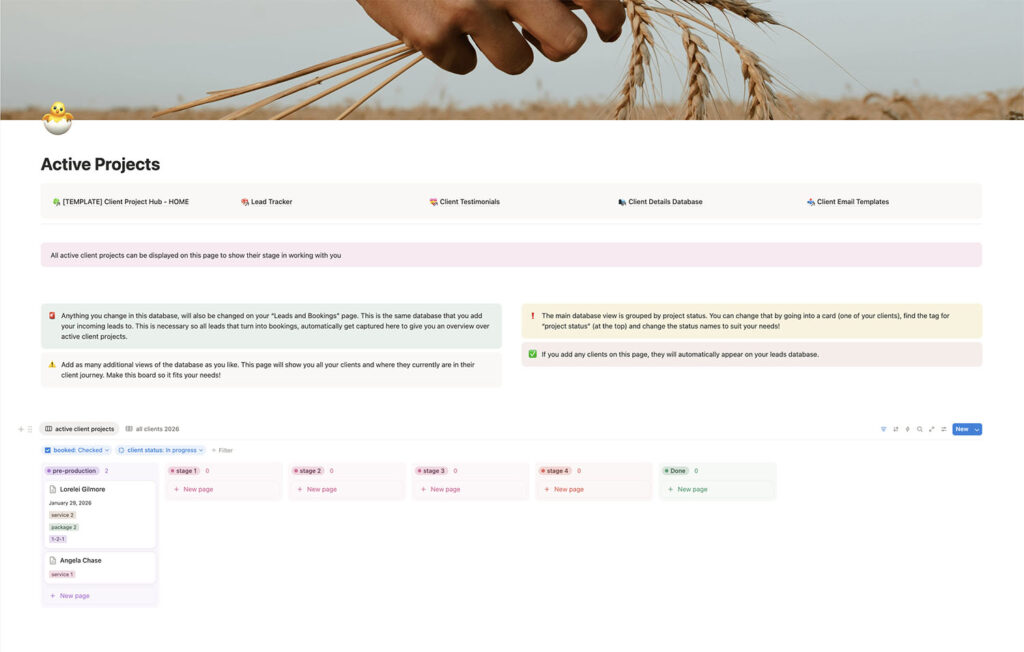 How I Organise My Business with Notion Without Turning It Into a Full-Time Job